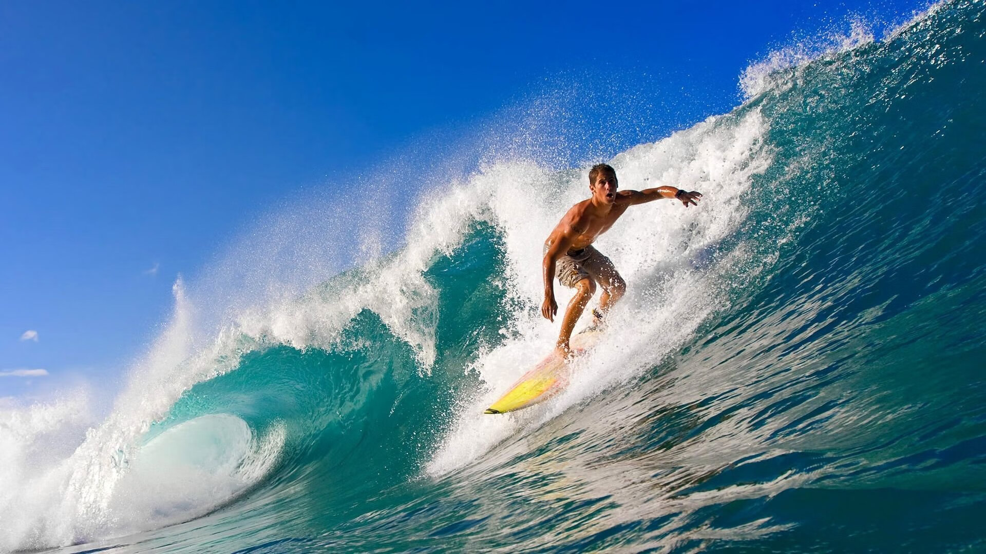 国际游泳锦标赛记录屡创新高，2021国际游泳锦标赛