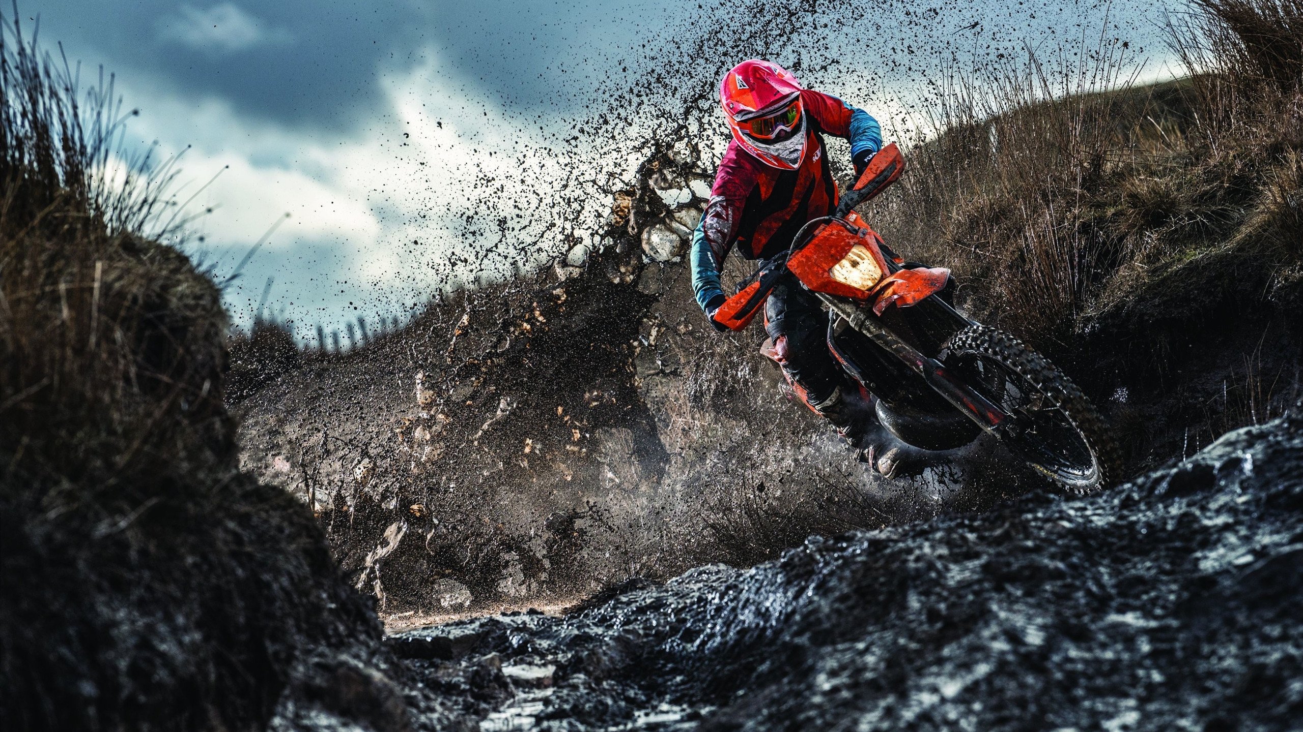 混合泳项目张雨霏全面发力,混合泳 张雨霏