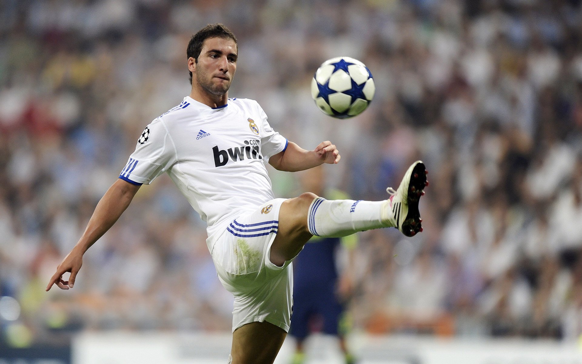 澳大利亚橄榄球青训体系逐步完善，成为全球橄榄球人才的摇篮，澳大利亚的橄榄球用英文怎么说